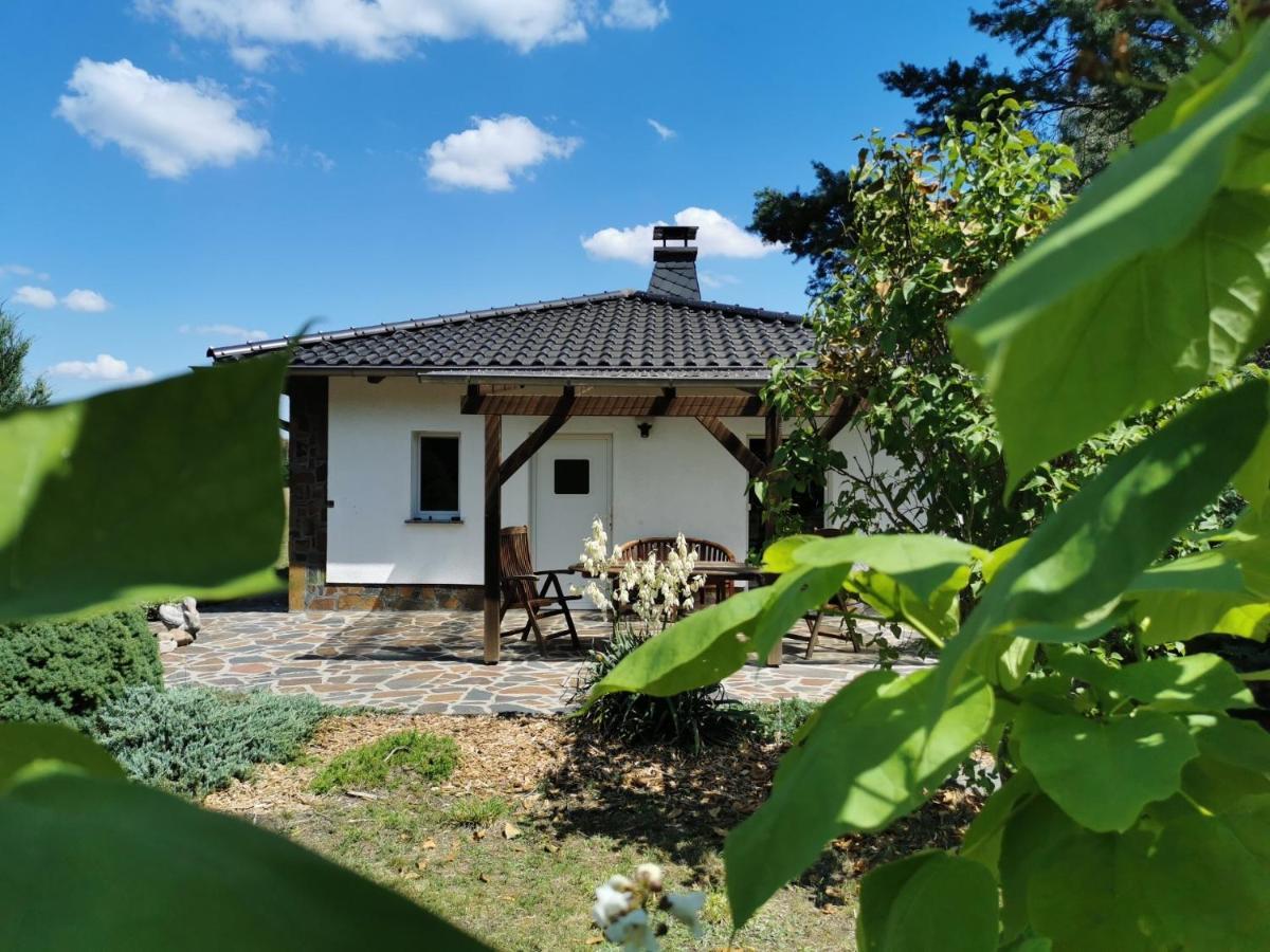 Ferienhaus Hase Bomsdorfer Hof グレーフェンハイニッヒェン エクステリア 写真